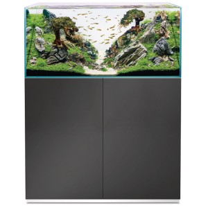 Oase Aquarium-Set Scaperline 100 Gris avec meuble, planté et avec poissons.