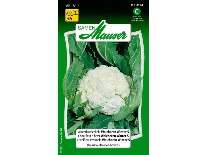 Graines de chou-fleur - 3 variétés différentes à semer et à découvrir