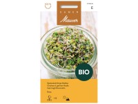 Keimsamen Radies Rota