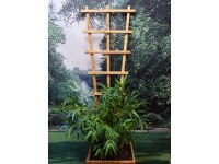 Rankgitter in Lärche Trapezform