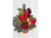 Grabschale Nobilis Rot Ø 25 cm