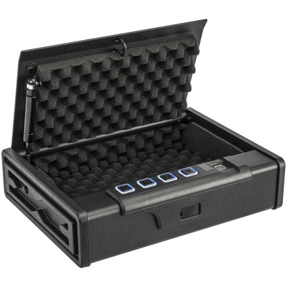 Paladin Fingerabdruck-Safe MK2