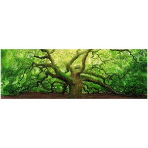 Quadro Deco Block Old Oak, 40x118 cm, raffigura un albero vecchio e nodoso con foglie verdi.