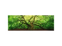 Wandbild Deco Block Old Oak 40 x 118 cm