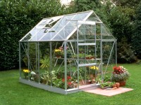 Halls Gewächshaus Popular 86 Popular Alu 5 m² inkl. Fundamentrahmen