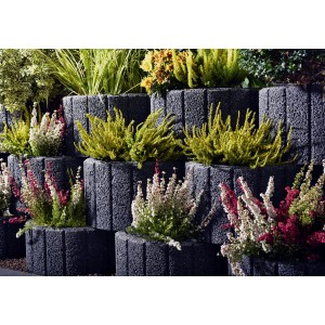 Anneaux de plantation anthracite, env. 48x25cm, plantés comme renforcement de pente.