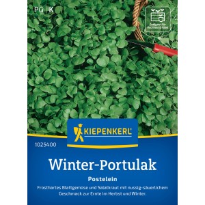 Sachet de graines de pourpier d'hiver Kiepenkerl avec des feuilles fraîches et vertes. Légume-feuille résistant au gel pour la culture hivernale.