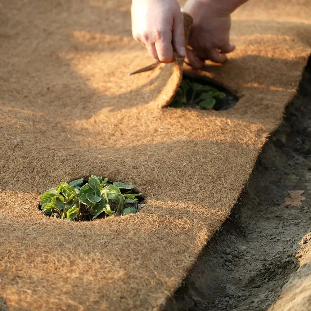 Stuoia In Fibra Di Cocco Oase 1x20m - Marrone, Maglia 20x20mm | Per Giardino E Protezione - Foto 8