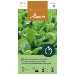 Graines Mauser Engrais Vert Croissance Rapide Épinard 200g : Graines pour un sol sain et récolte.
