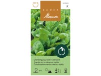 Samen Mauser Gründüngung Raschwachsend Spinat 200 g