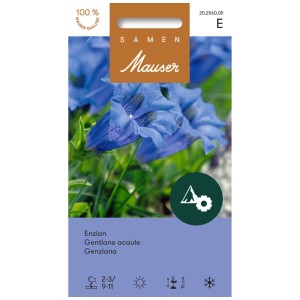 Confezione di semi di genziana: fiore alpino con fiori blu intenso per giardini rocciosi.