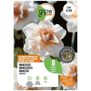 GROW by OBI Narzisse Delnashaugh Blumenzwiebeln, 8 Stk. Weisse Blüte mit lachsfarbener Mitte für Garten & Terrasse.