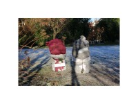 Videx Winterschutz Jutesack 110 cm x 60 cm Waldbeere