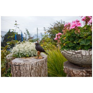 Vivid Arts Amsel Dekofigur (16cm) im Garten auf Baumstumpf, Gartendekoration.