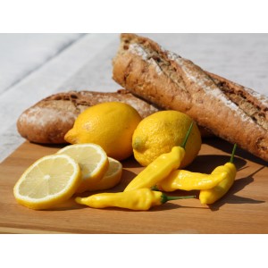 Blu Bio-Chili Lemon Drop con limone e pane su tagliere di legno.