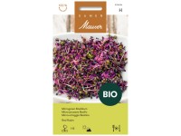Samen Mauser Bio-Microgreen Basilikum Red Rubin