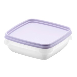 SmartStore Frost 0,3 l, boîte de congélation lavande, boîte de conservation avec couvercle.