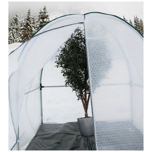 Serra invernale Colibri Yurt taglia L con pianta, protezione invernale in pluriball.