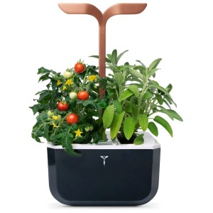 Véritable Exky Smart orto indoor in rame con piante di pomodoro e salvia.