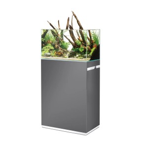 Oase ScaperLine 60 Gris aquarium (73 l) avec meuble, planté et décoré.