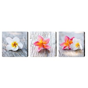 Quadro su tela Frangipani, set da 3, 30x30 cm, fiori su legno per soggiorno.