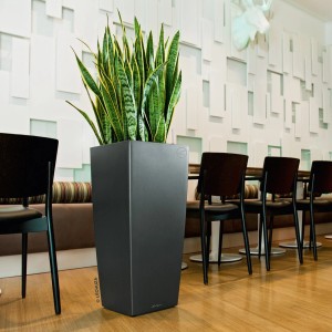 Pot de fleurs Lechuza Cubico Premium 40 anthracite métallisé avec plante.