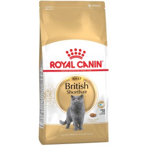 Royal Canin British Shorthair cibo secco per gatti, confezione da 4 kg per gatti British Shorthair.