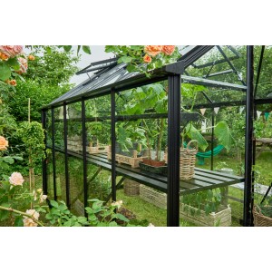 Serre noire Halls Burford 610 avec plantes et étagères dans un jardin.