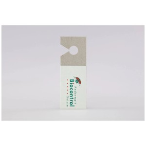 Andermatt Biogarten Encarsia guêpes parasites, 10 x 500 pcs. pour la lutte antiparasitaire.