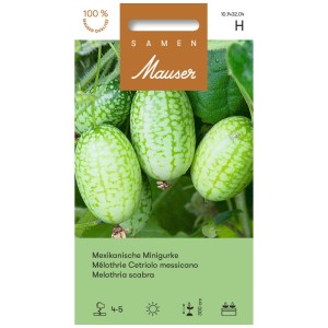 Graines Mauser Mini concombre mexicain : Mini fruits rayés vert et blanc de Melothria scabra.
