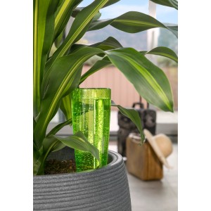 Arroseur Scheurich Copa M Green (150 ml) dans un pot avec une plante.