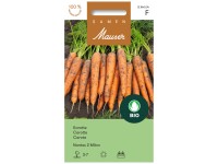 Karotte Nantes 2 Milan Bio