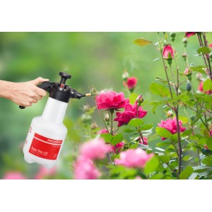 Pulvérisateur à pression Birchmeier Super Star 1,25 l utilisé sur des roses.