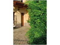 Künstliche Hecke 3D Farn Künstliche Hecke 3D Farn