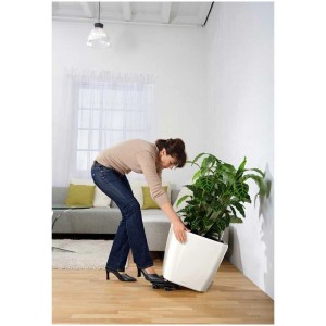 Donna sposta vaso Lechuza Classico 43 bianco su sottovaso a rotelle nero Ø 40 cm.