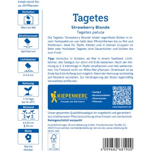 Graines de tagètes Strawberry Blonde Kiepenkerl : Graines de fleurs pour des floraisons estivales colorées.