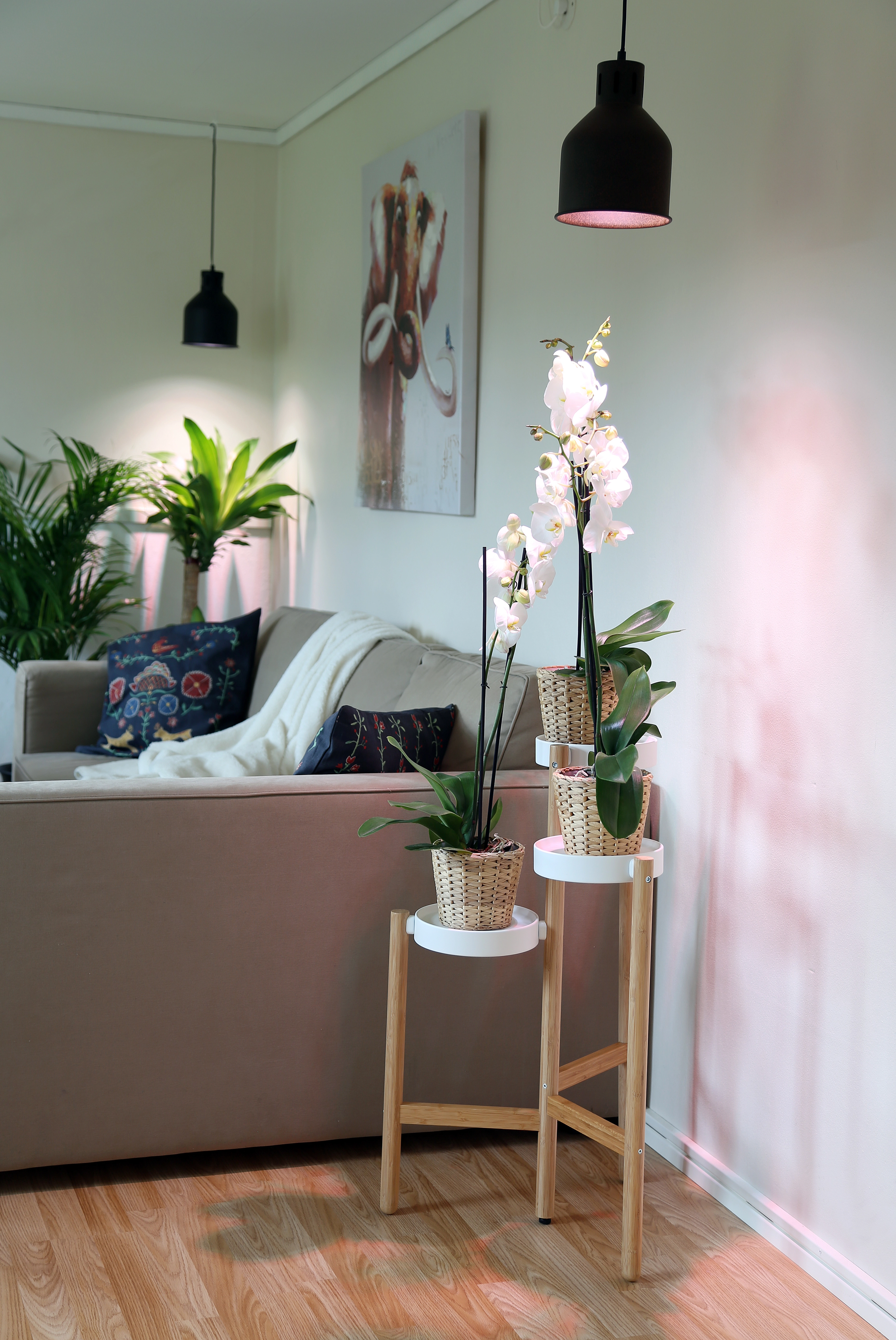Lampada per piante a LED Indoor plants 18 W / E27