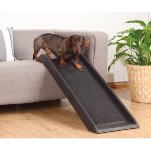 Rampa per cani Trixie Petwalk: bassotto usa la rampa per il divano, ideale per cani di piccola taglia.