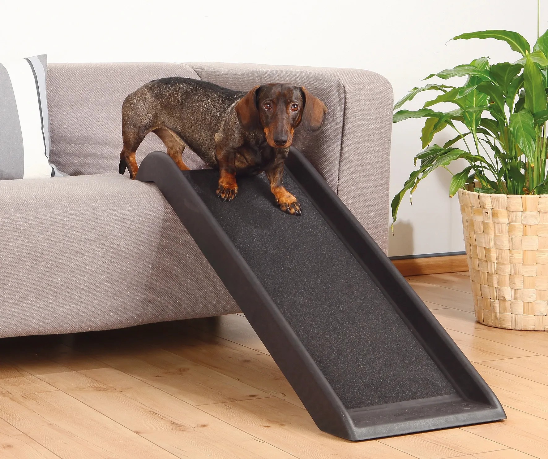 Trixie Hunde-Rampe Petwalk 38 x 100 cm