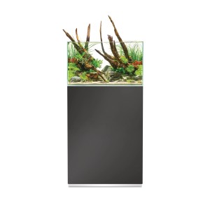 Oase ScaperLine 60 Gris aquarium avec meuble, planté et décoré.