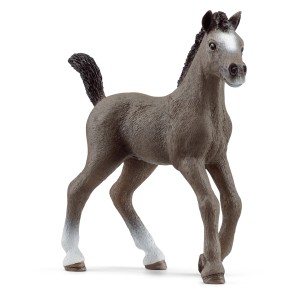 Schleich Cheval de Selle Français Poulin, figurine gris-brun avec liste blanche et pieds blancs.