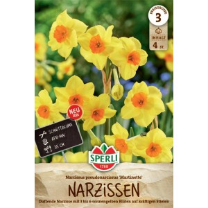 Sperli Narzisse Martinette: Gelbe Blüten mit orangefarbener Krone, 4 Stück.