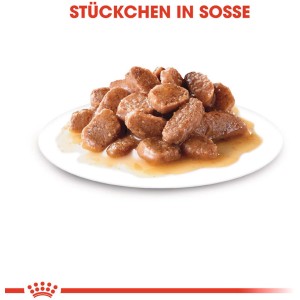 Royal Canin Hairball Care Katzen-Nassfutter: Stückchen in Soße auf einem Teller.
