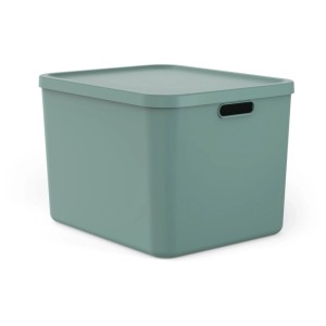 Rotho Multibox Albula 55l in Mistletoe Green. Stapelbare Aufbewahrungsbox mit Deckel und Griffen für Haushalt & Spielzeug.