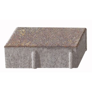 Pavé rectangulaire couleurs d'automne, 20x10x6 cm. Pierre de pavage pour allées de jardin et allées carrossables.