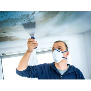 Homme avec masque anti-poussière LUX FFP2 enlevant de la moisissure au plafond.