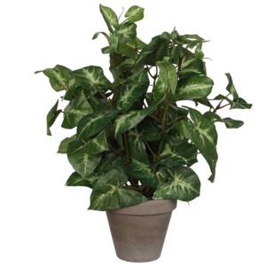 Pianta artificiale Syngonium verde Mica Decorations in vaso, alta 35 cm.
