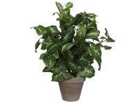 Mica Decorations Kunstpflanze Syngonium Grün Topf Ø 25 cm / Höhe 35 cm