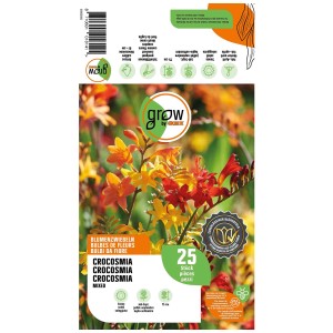 Grow by OBI Crocosmia Mixed, bulbi da fiore con fiori arancioni, rossi e gialli.