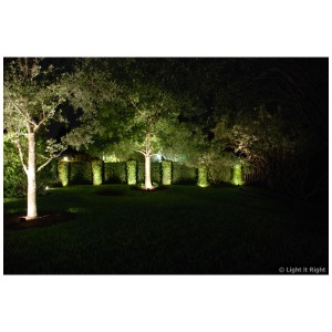 Giardino illuminato con faretto LED Charly L, luce bianca calda su alberi e siepi.